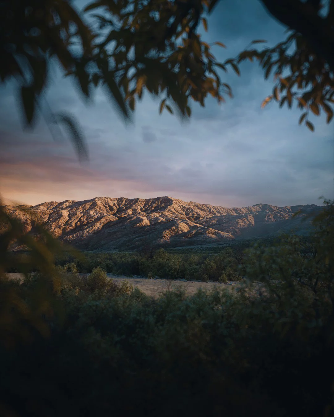 World Creator Terrain Sample 241