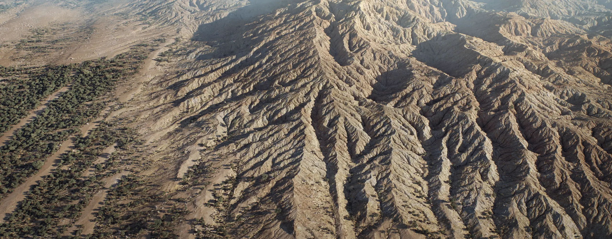 World Creator Terrain Sample 85