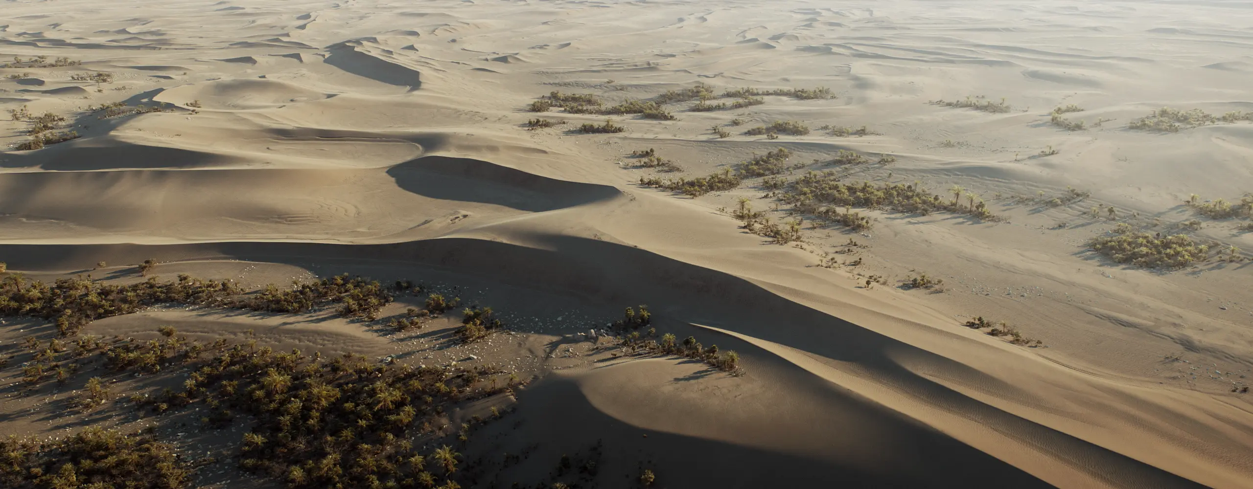 World Creator Terrain Sample 83