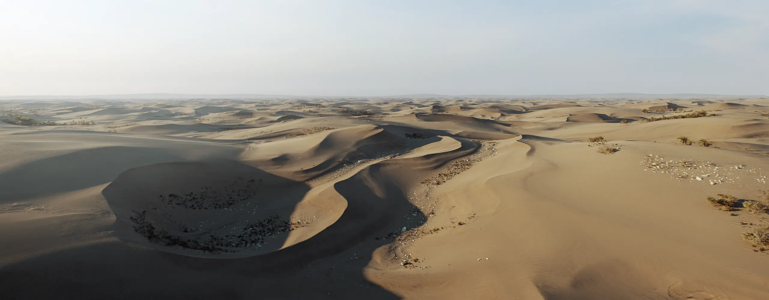 World Creator Terrain Sample 82