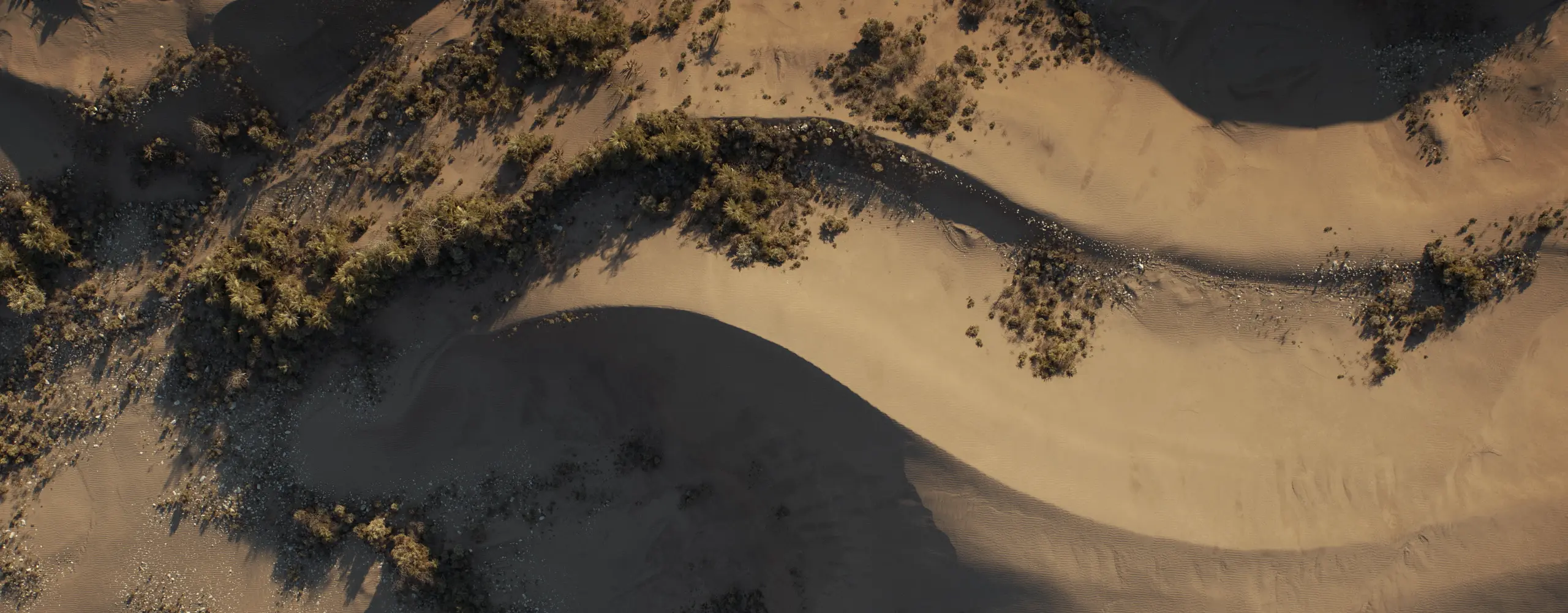 World Creator Terrain Sample 81