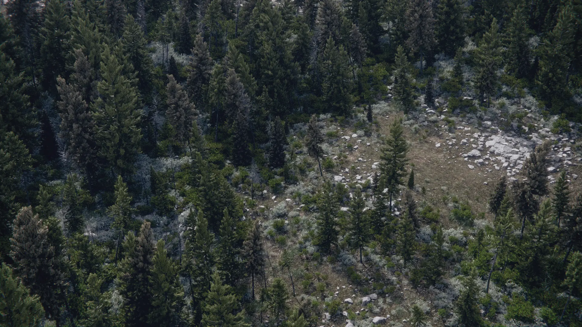 World Creator Terrain Sample 64