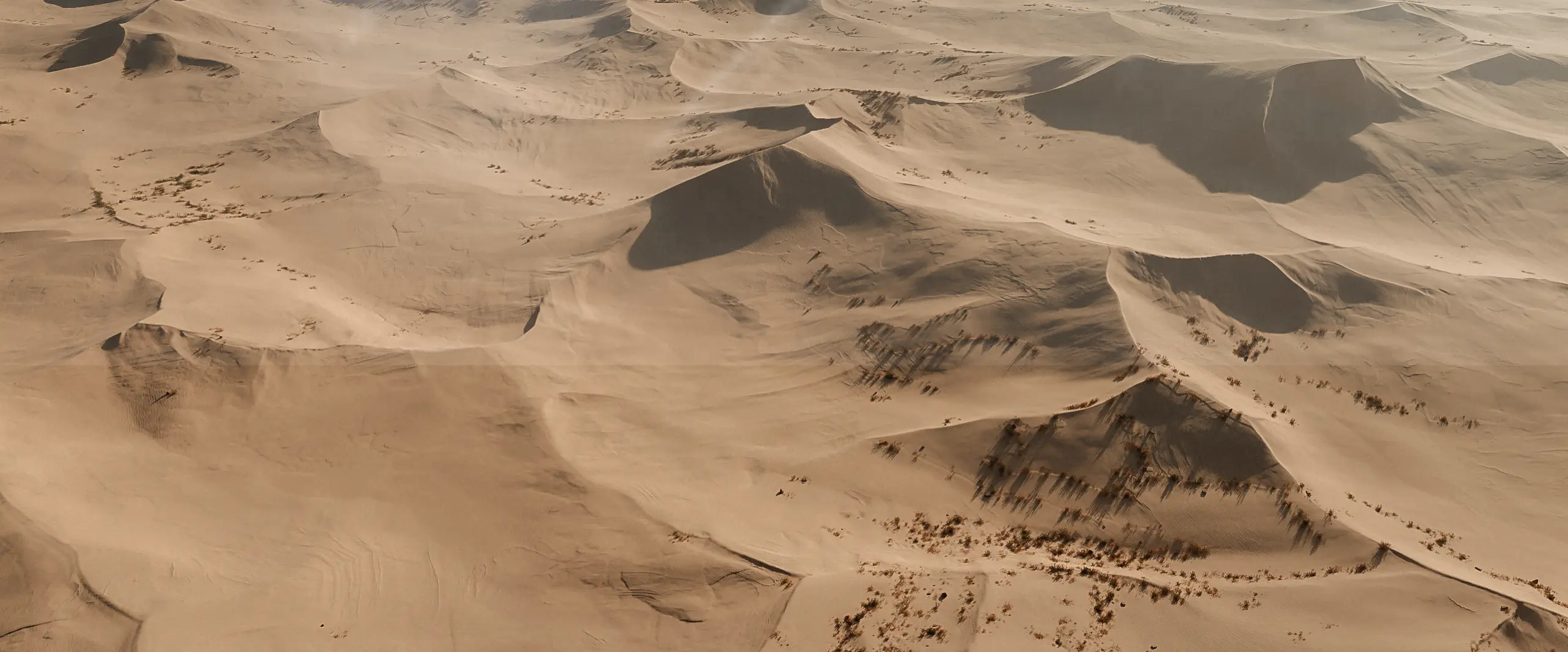 World Creator Terrain Sample 35
