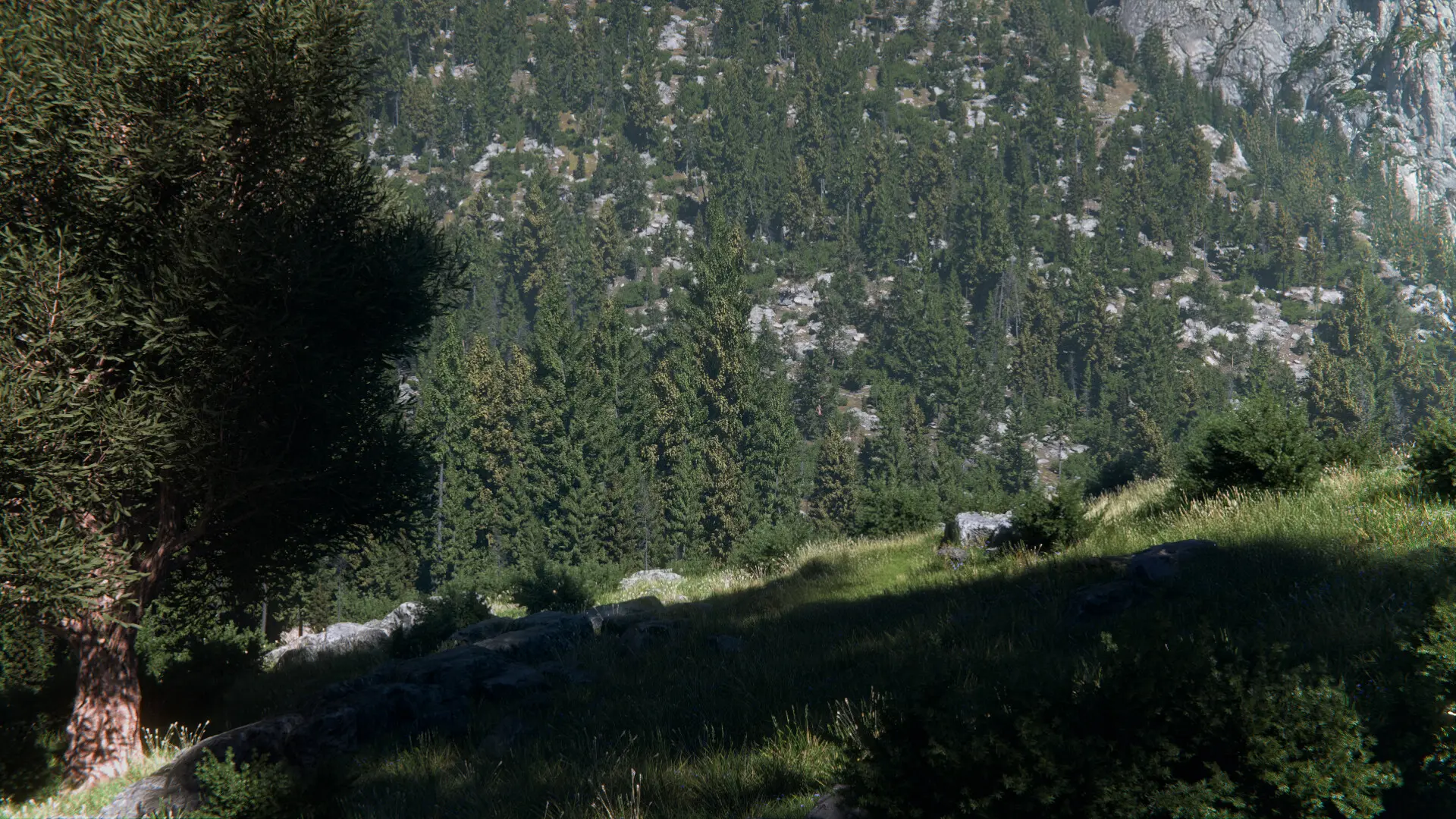 World Creator Terrain Sample 9